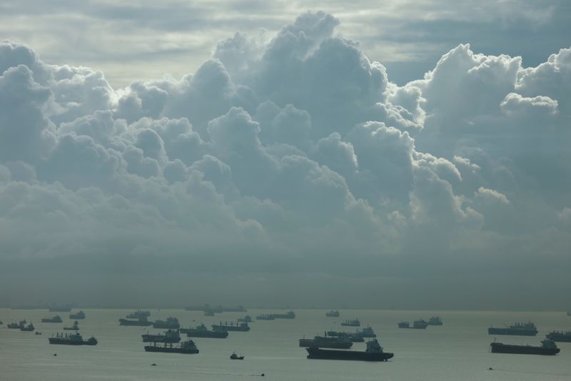FILE PHOTO: A view of shipping vessels in the southern coast of Singapore