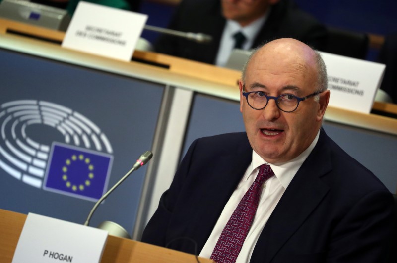 FILE PHOTO:  European Trade Commissioner-designate Phil Hogan attends his hearing before the