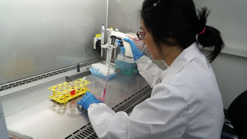 Ka Yi Ling, co-founder and chief scientific officer at Shiok Meats, in lab which grows shrimp
