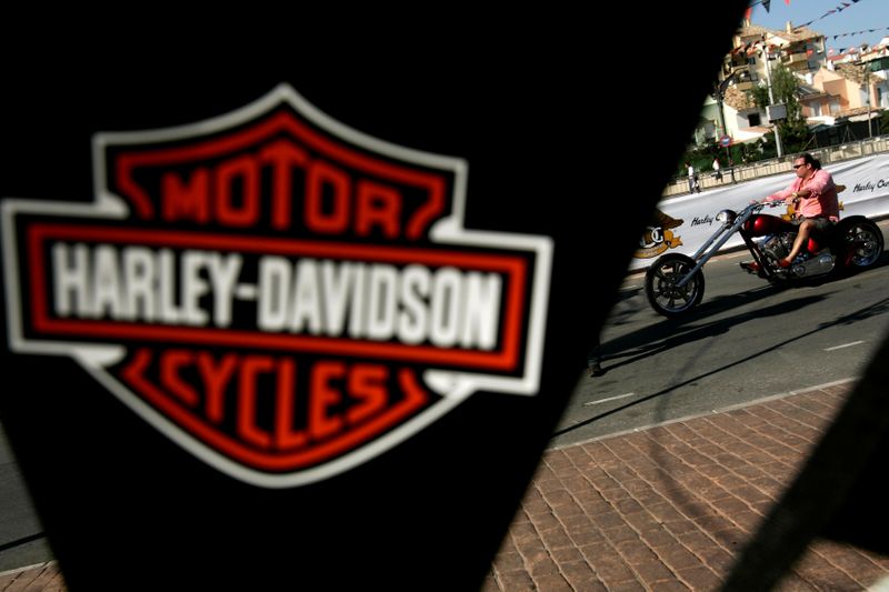 FILE PHOTO: A biker rides his Harley-Davidson in Fuengirola