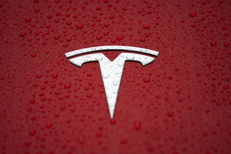 FILE PHOTO: A Tesla logo is seen at a groundbreaking ceremony of Tesla Shanghai Gigafactory in