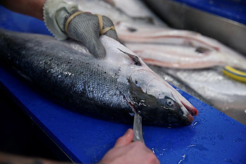 A crate of red mullets fished by the French trawler 