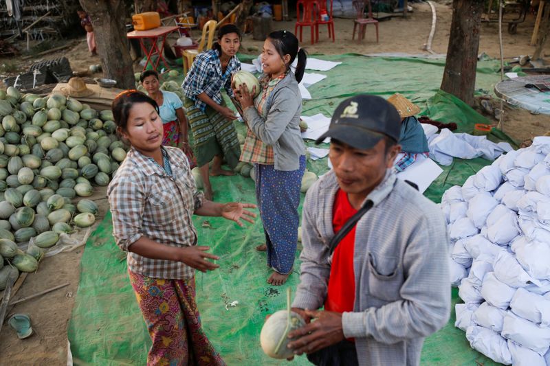 Naing Lin Htet inspects one of his watermelon farm that he will not harvest due to the outbreak