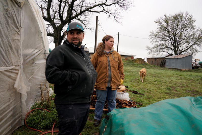 Chlebanowski sanitizes a delivery box for lettuce on her farm in Alex