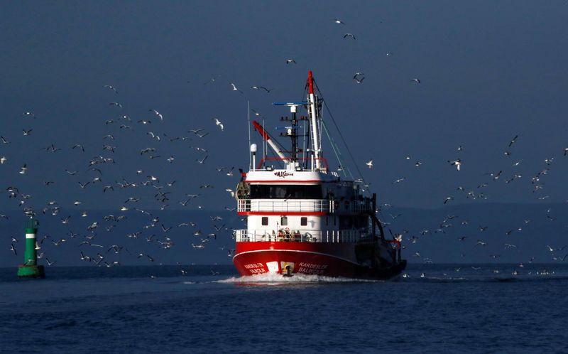 FILE PHOTO: Seagulls fly over a fishing boat on the waters of the North Aegean Sea off the