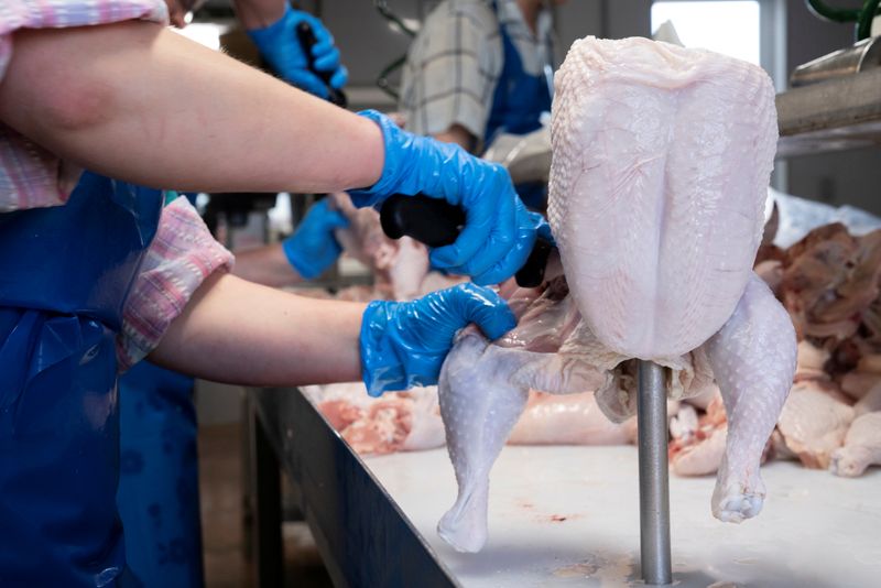 Small meat processors backlogged as virus idles big plants