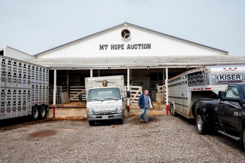 Small meat processors backlogged as virus idles big plants