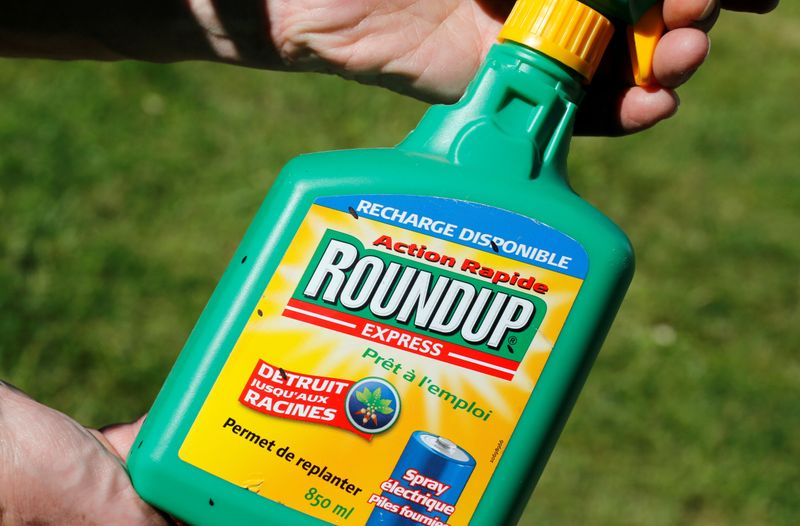 FILE PHOTO: A man holds a Monsanto's Roundup weedkiller spray containing glyphosate in a garden